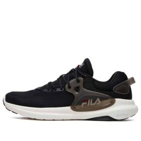 Low GS Schwarz