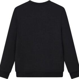 Pullover mit kleinem Logo „Schwarz“