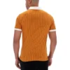 Pumpkin Spice BB1 Classic Vintage gestreiftes Polohemd