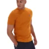 Pumpkin Spice Sunny Essential T-Shirt